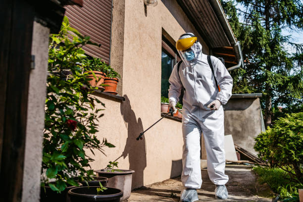 Best Mosquito Control Services  in Hooper, UT