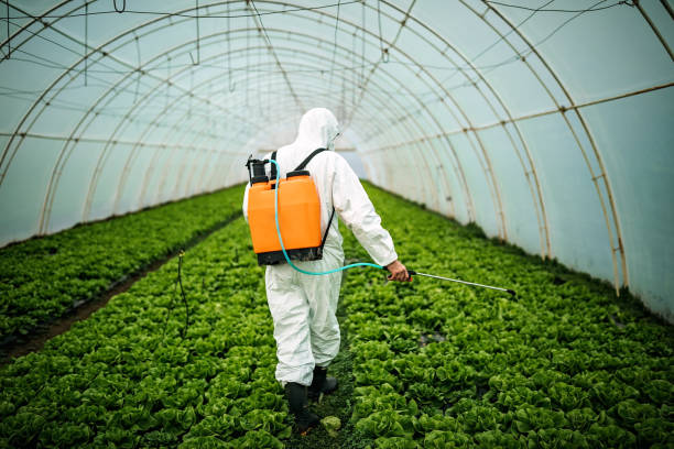 Best Commercial Pest Control Services  in Hooper, UT