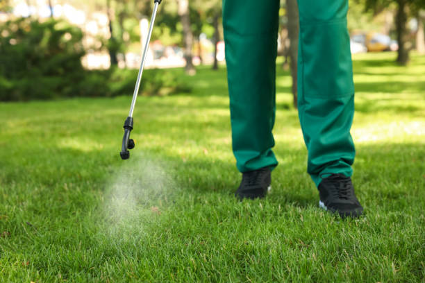 Best Residential Pest Control  in Hooper, UT