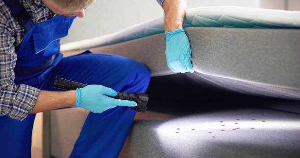 Best Best Pest Control Companies  in Hooper, UT