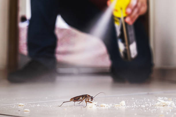 Best Pest Control Near Me in Hooper, UT