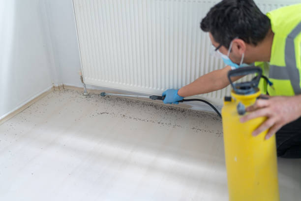 Flea Control Services in Hooper, UT