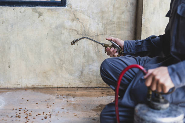 Best Ant Control Services  in Hooper, UT